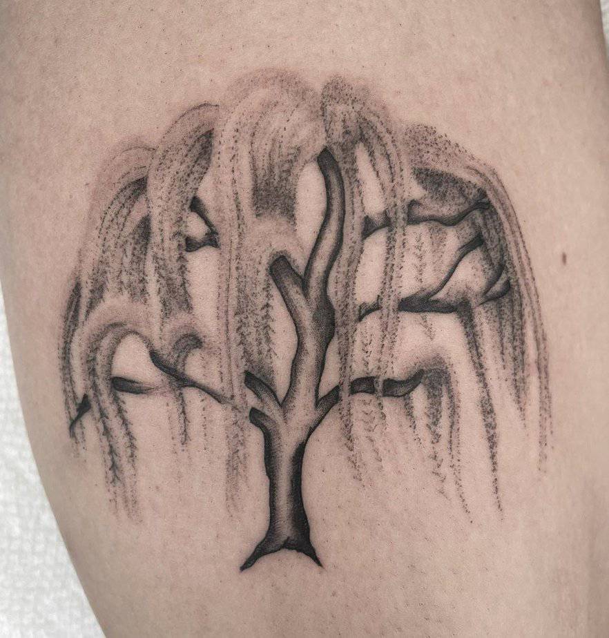 20 Weeping Willow Tattoo Ideas That Will Make You Weep Tears Of Joy