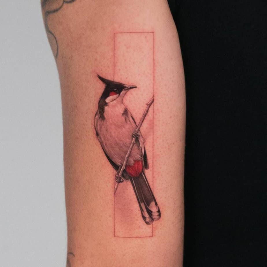 20 Unique Cardinal Tattoo Ideas To Paint The Town Red