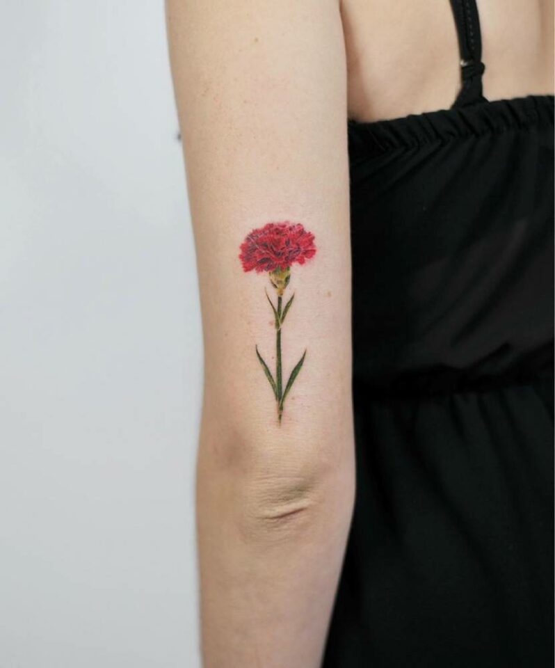 20 Cute Carnation Tattoo Designs That Will Capture Your Heart