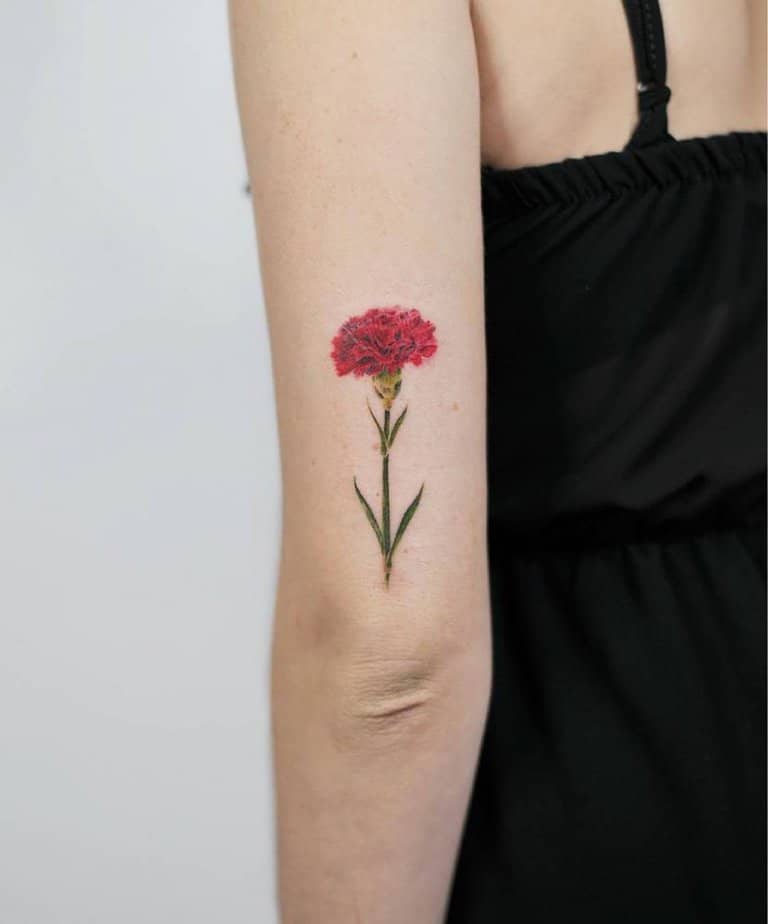 6. Single red carnation