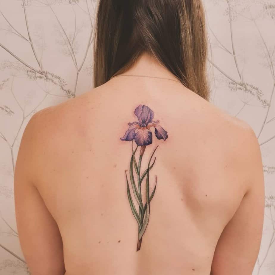 8. Subtle iris on the back