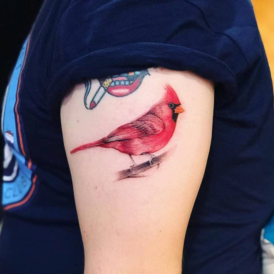 20 Unique Cardinal Tattoo Ideas To Paint The Town Red