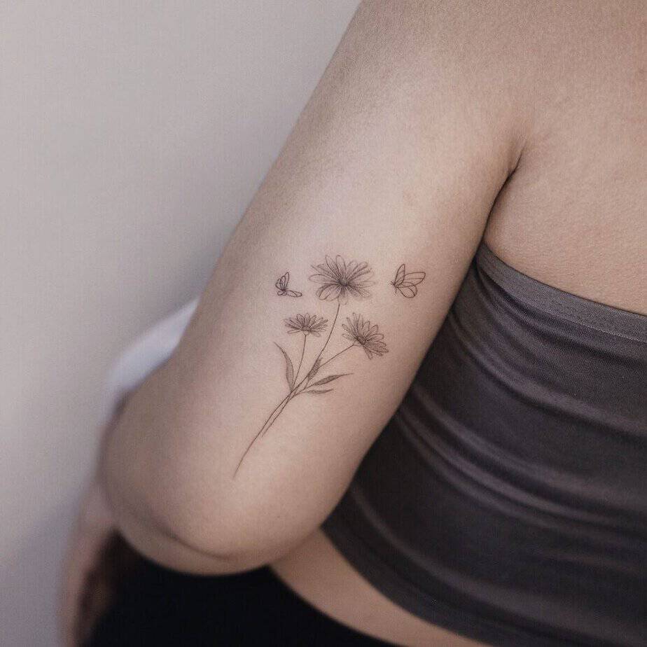 Aster flowers and butterflies