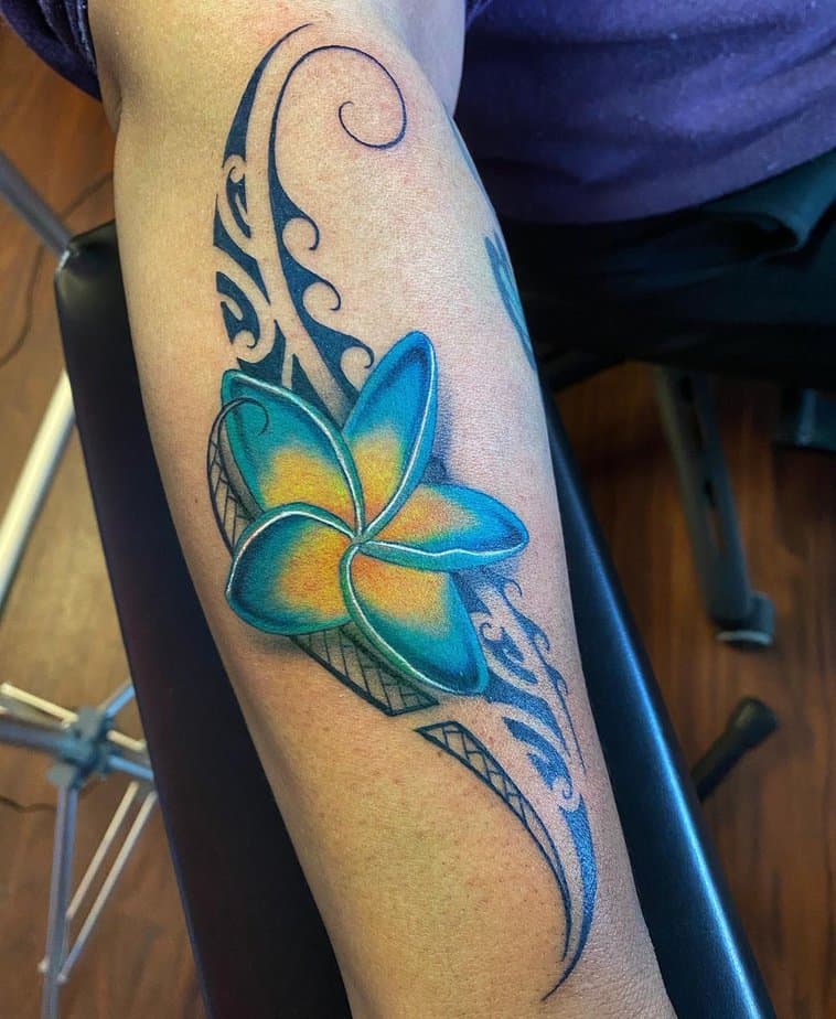 19 Beautiful Plumeria Tattoo Ideas To Get A Plum Perfect Look