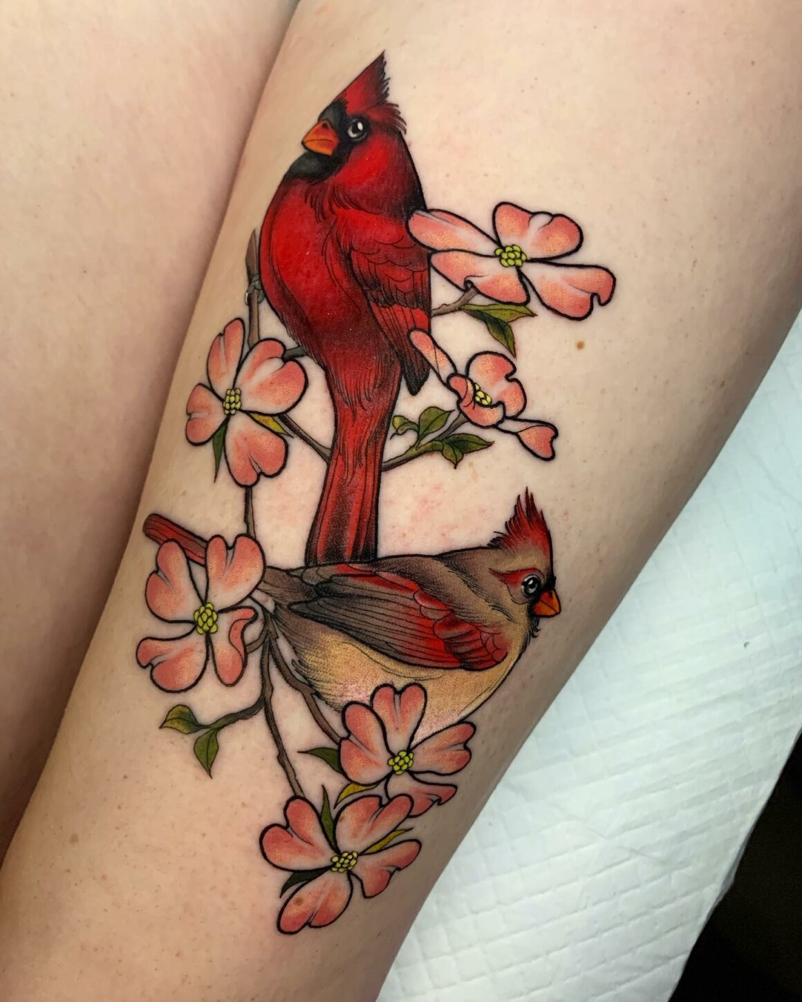 Cardinals and dogwoods