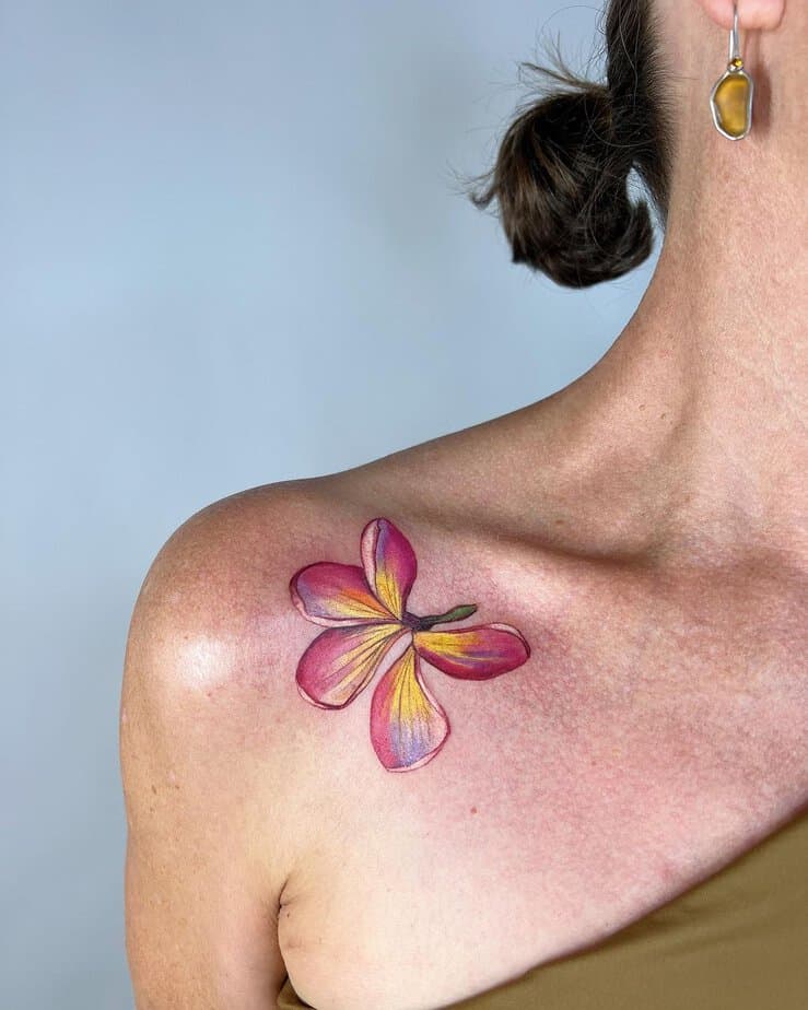 Frangipani flower