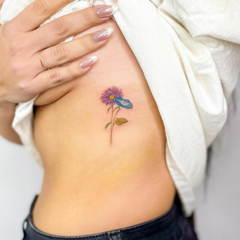 Purple aster and blue morning glory 1