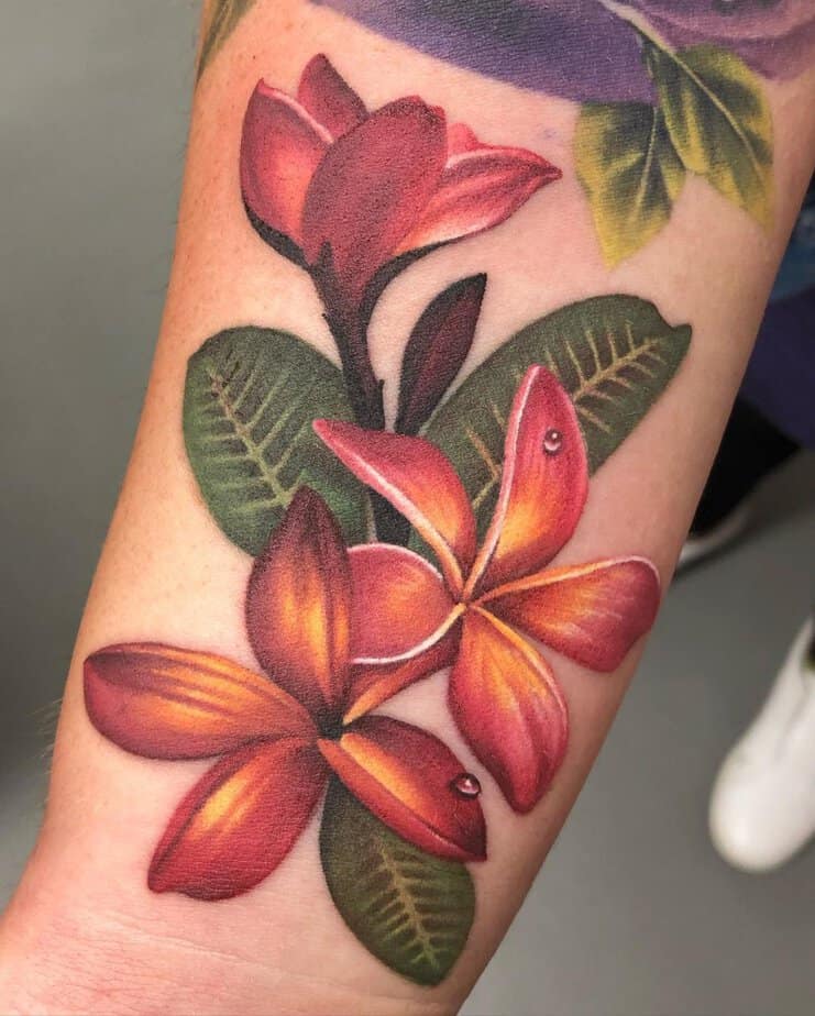 Realistic plumeria tattoo