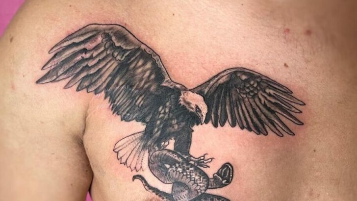 Snake And Eagle Tattoo Meaning With 20 Popular Options