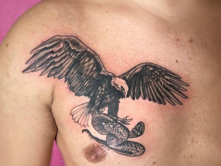 Snake And Eagle Tattoo Meaning With 20 Popular Options