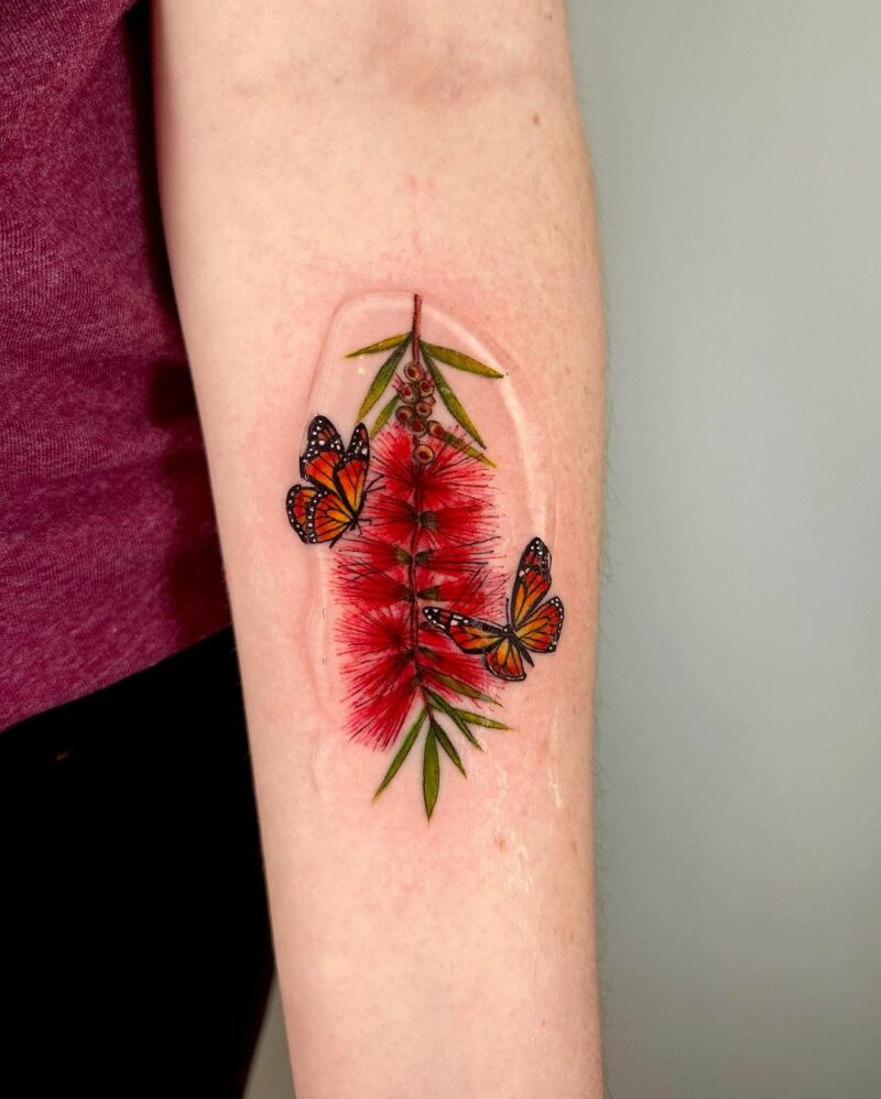 Weeping bottlebrush with monarch butterflies