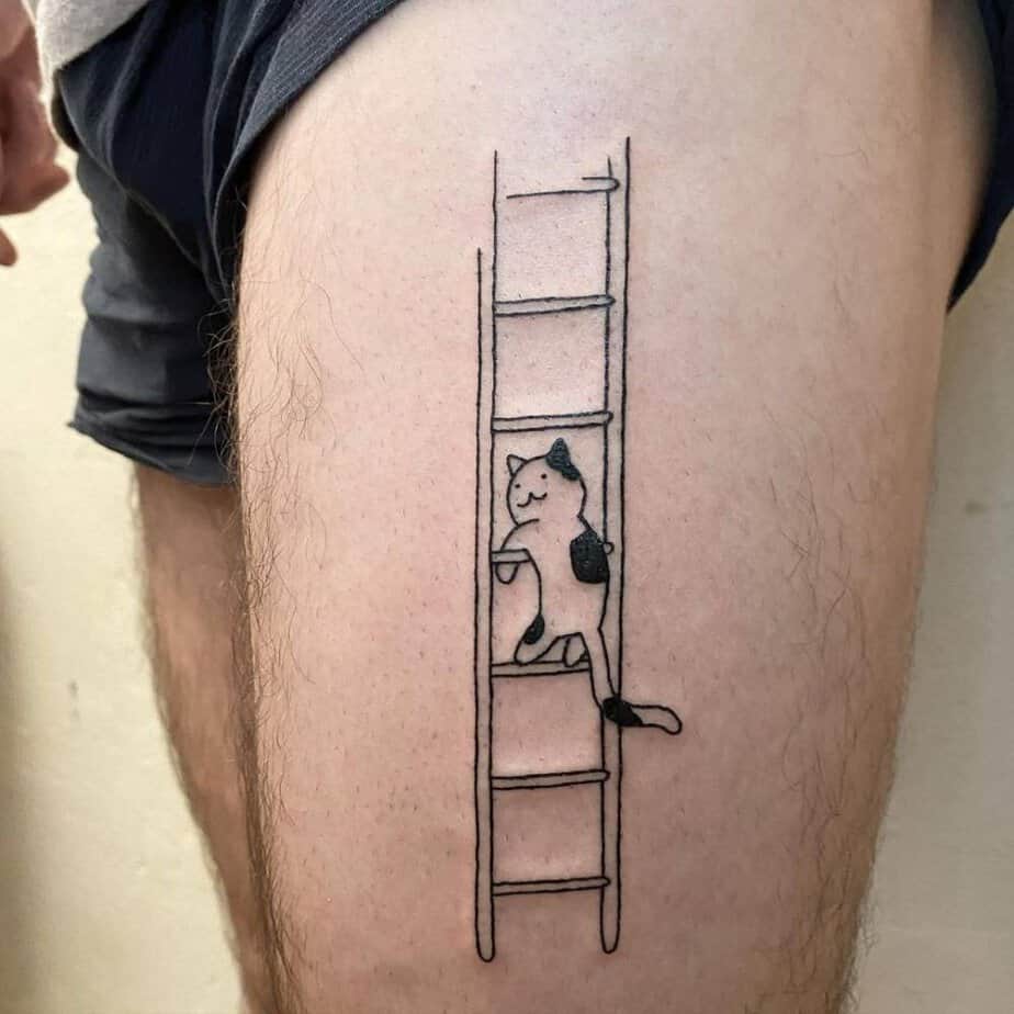 Cat on a ladder