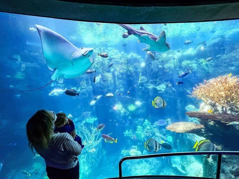 10 Amazing Things to Do in Long Beach, CA for the Ultimate Coastal Escape Explore the Aquarium of the Pacific