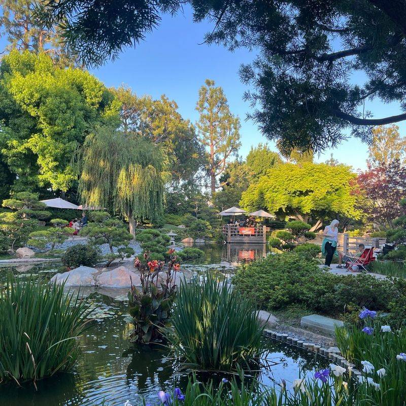 10 Amazing Things to Do in Long Beach, CA for the Ultimate Coastal Escape Visit the Earl Burns Miller Japanese Garden