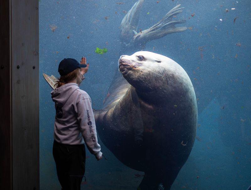 10 Breathtaking Seward, Alaska Experiences You'll Talk About Forever Visit the Alaska SeaLife Center