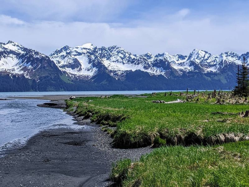 10 Breathtaking Seward, Alaska Experiences You'll Talk About Forever Explore Lowell Point and Tonsina Trail
