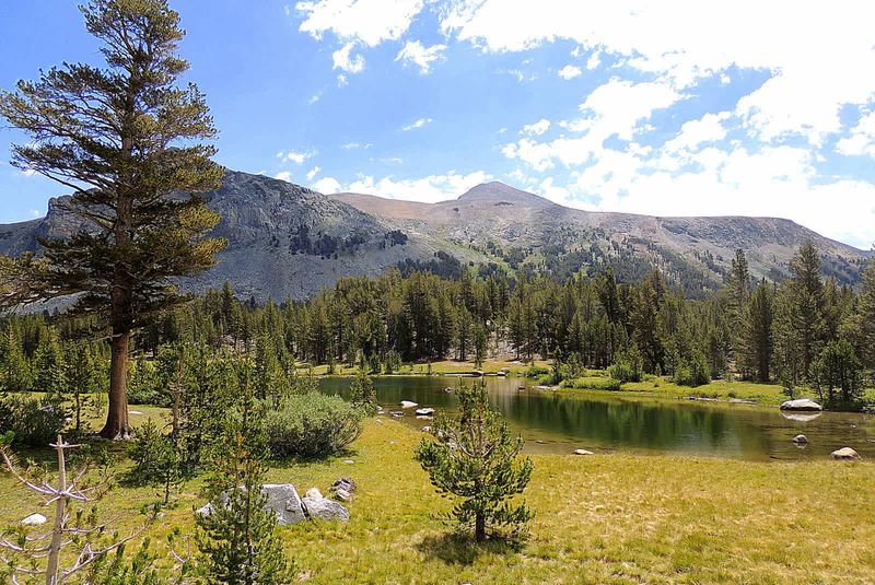 Yosemite National Park – Tuolumne Meadows Campground (California)