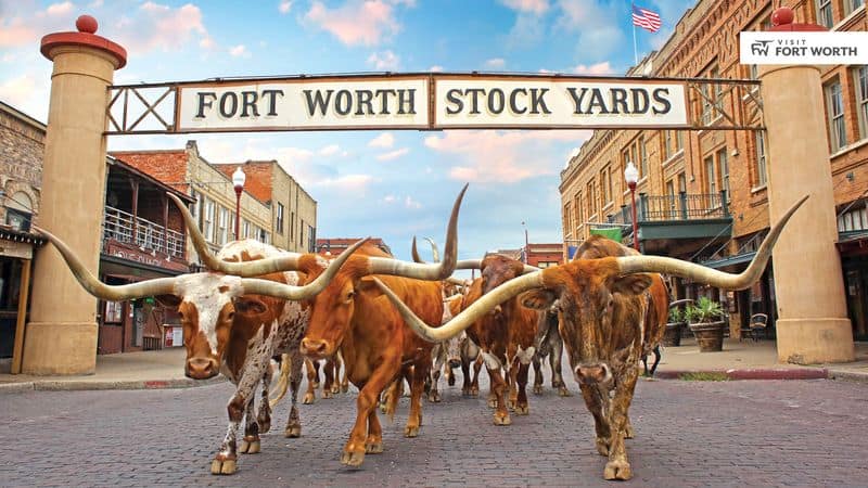 Fort Worth Stockyards National Historic District