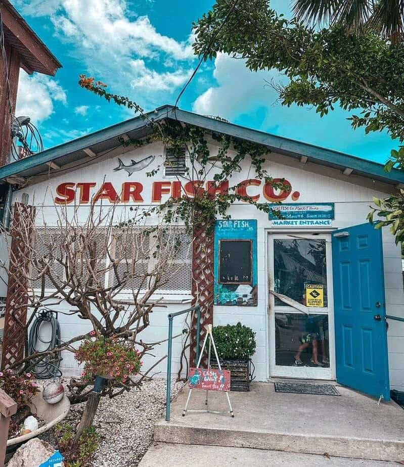Star Fish Company, Cortez