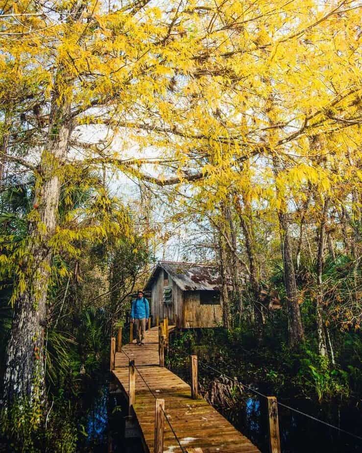 Fakahatchee Strand Preserve