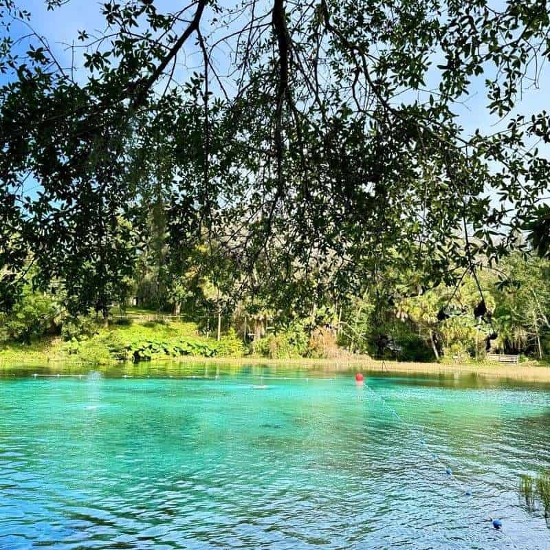 Rainbow Springs State Park