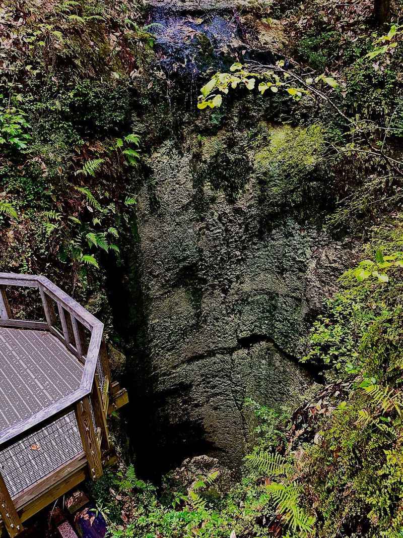 Falling Waters State Park