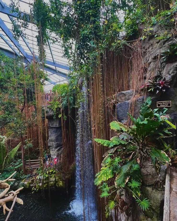 The Henry Doorly Zoo and Aquarium – Omaha