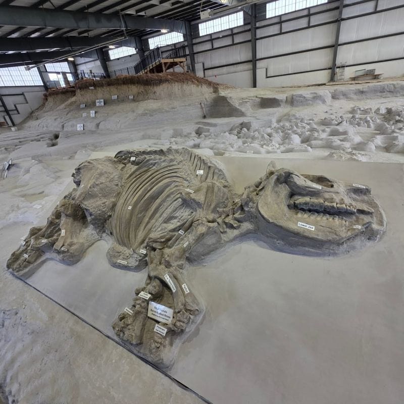 Ashfall Fossil Beds State Historical Park – Royal