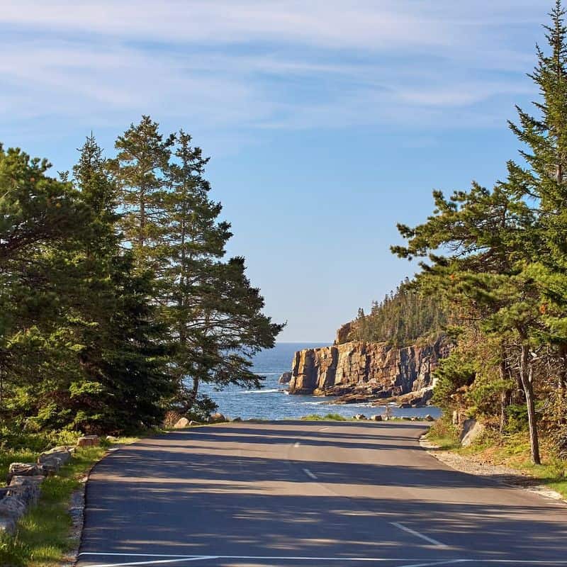 Drive the Park Loop Road