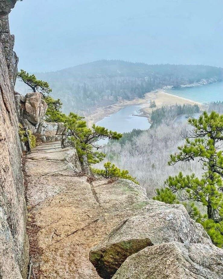 Brave the Beehive Trail (if You Dare)