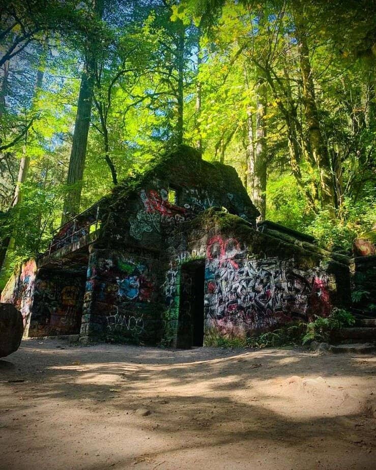 Trek to the Witch's Castle in Forest Park