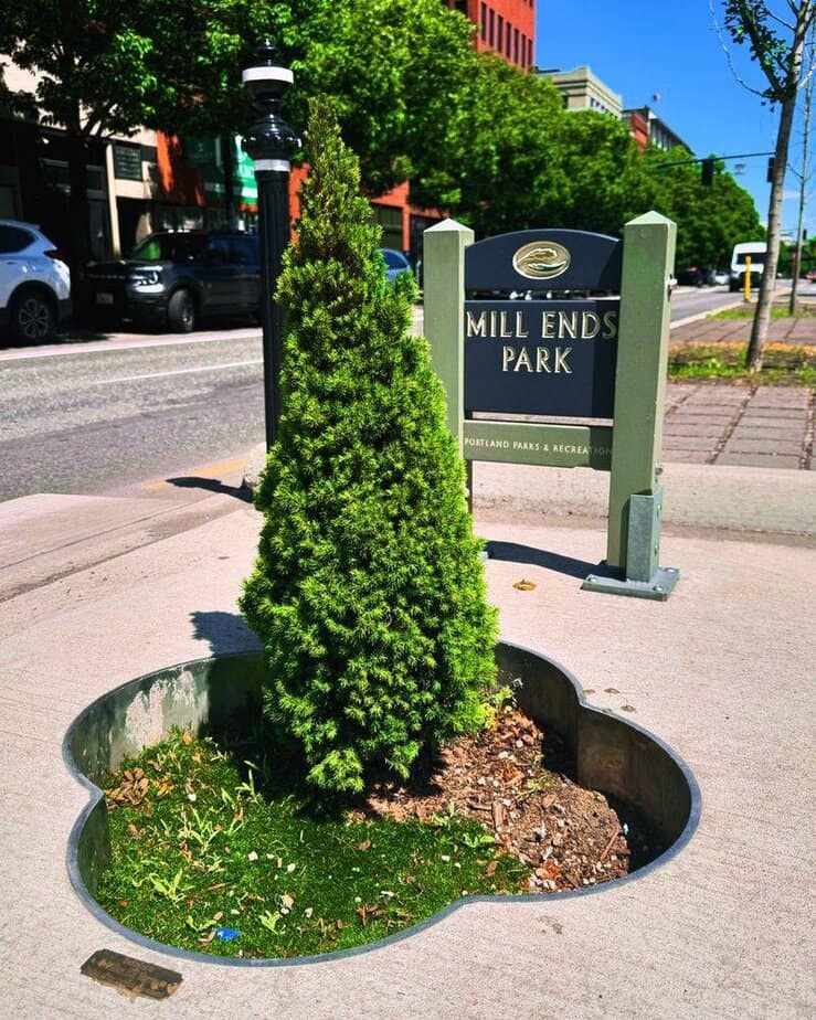 Pause at Mill Ends Park