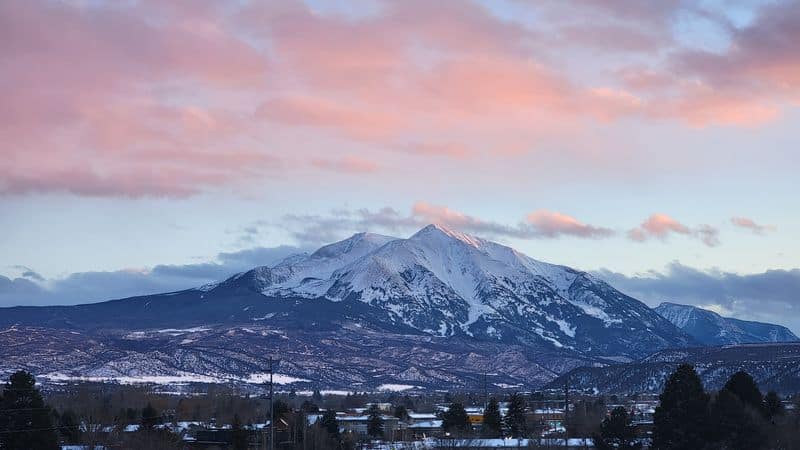 Carbondale's Artistic Haven