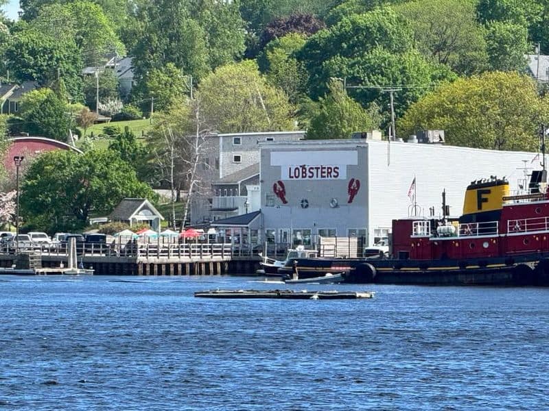 Nautilus Seafood & Grill, Belfast