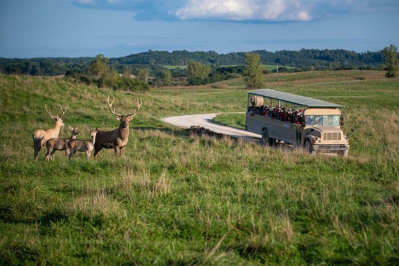 The Wilds, Cumberland