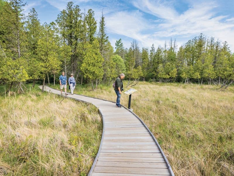 Cedar Bog Nature Preserve, Urbana