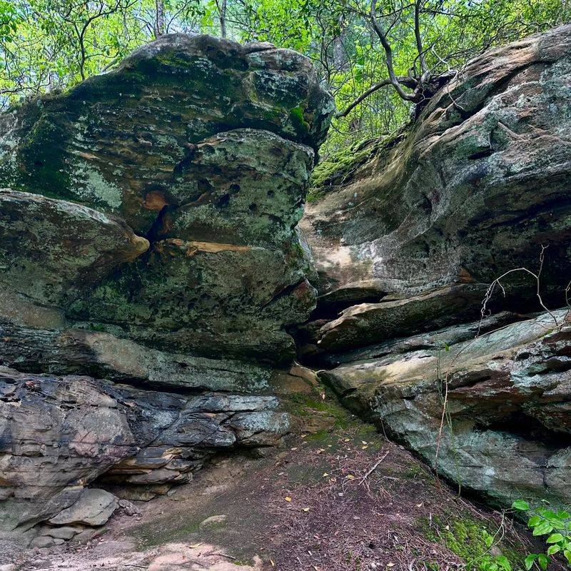 Hocking Hills' Conkle's Hollow Gorge