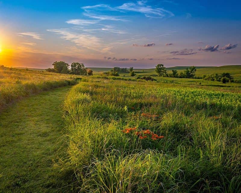 Take a Scenic Drive Through the Flint Hills – Tallgrass Prairie National Preserve