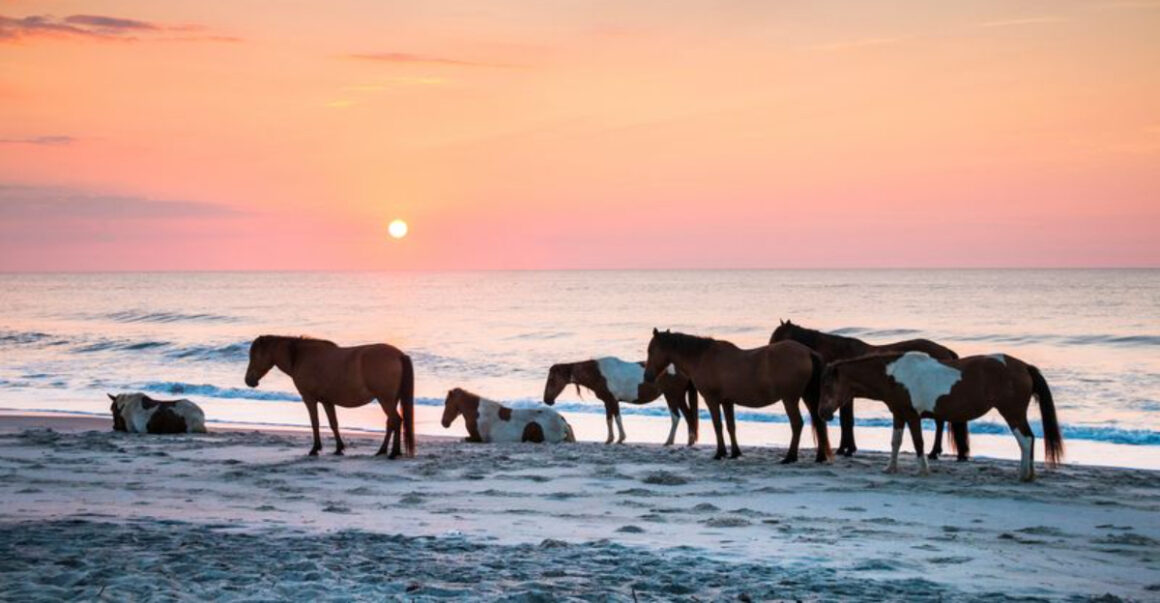 10 camping spots in the usa with unreal views