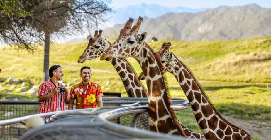 10 kid friendly stops for the ultimate palm springs road trip