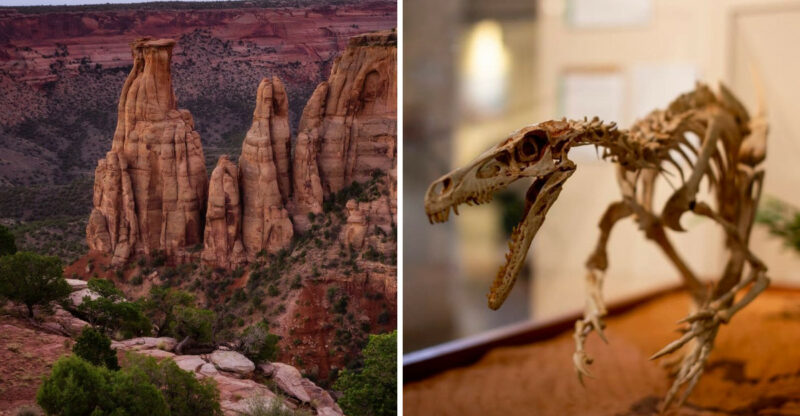 10 Unforgettable Things to Do in Grand Junction, Colorado