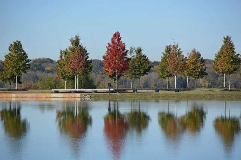 11 Epic Things to Do in Memphis If You've Only Got 48 Hours Roam Over to Shelby Farms Park