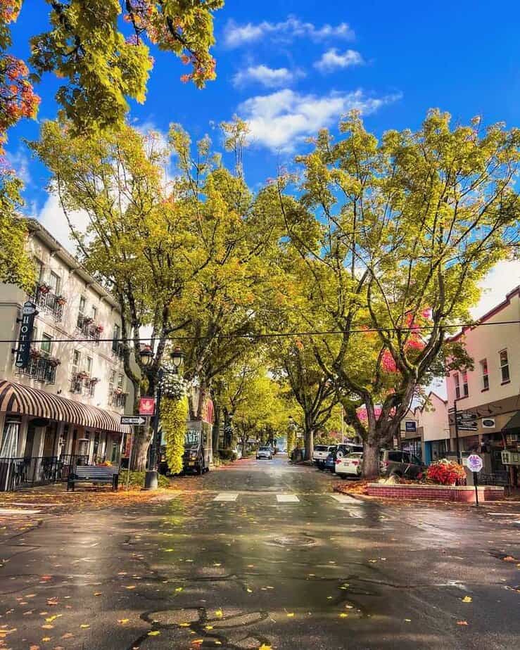 11 Hidden Gems in Washington That Outsparkle Seattle Camas