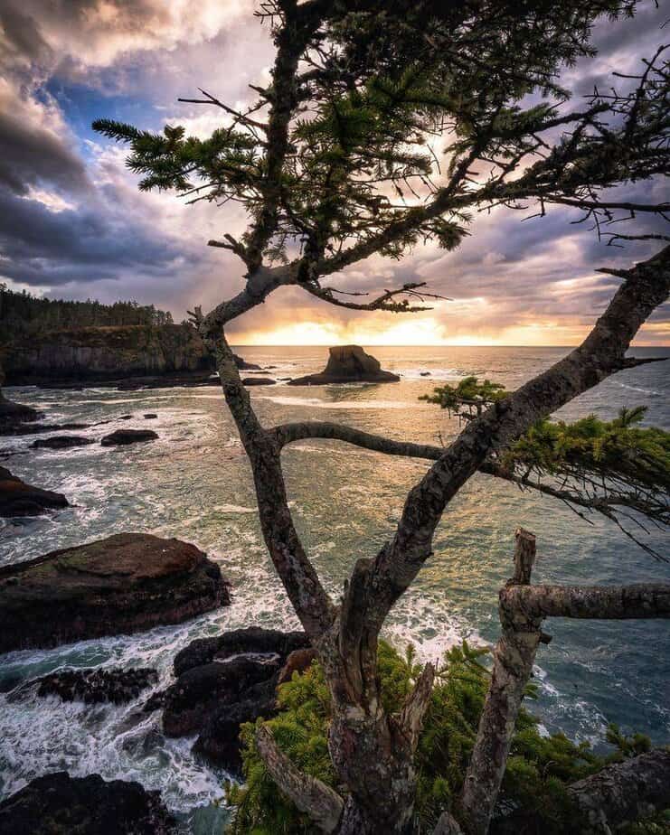 11 Hidden Gems in Washington That Outsparkle Seattle Cape Flattery