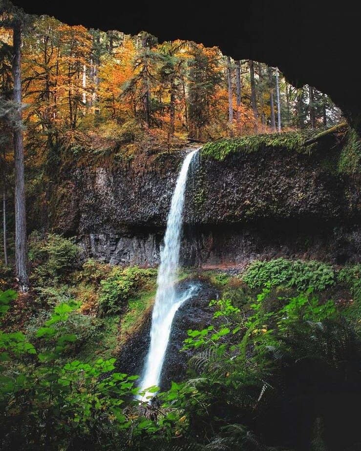 11 Magical Oregon Spots That Locals Love More Than Portland Silver Falls State Park