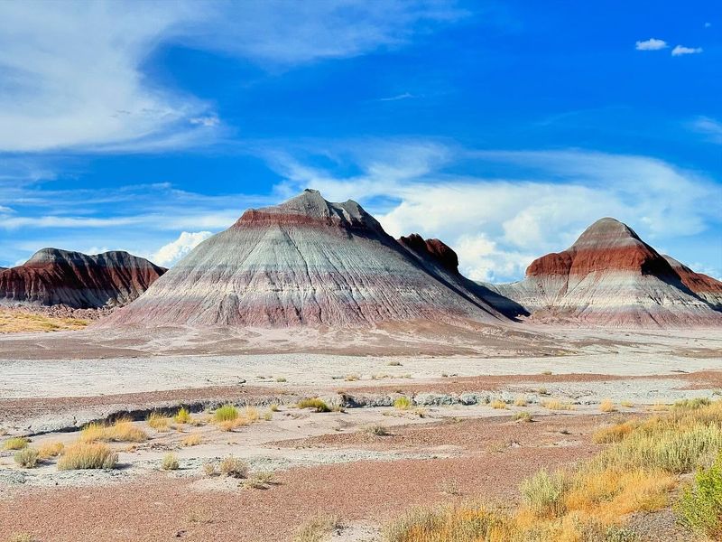 Petrified Forest National Park