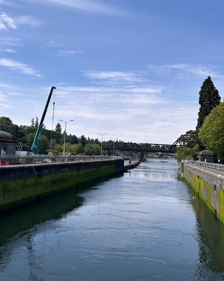 Explore the Ballard Locks & Fish Ladder