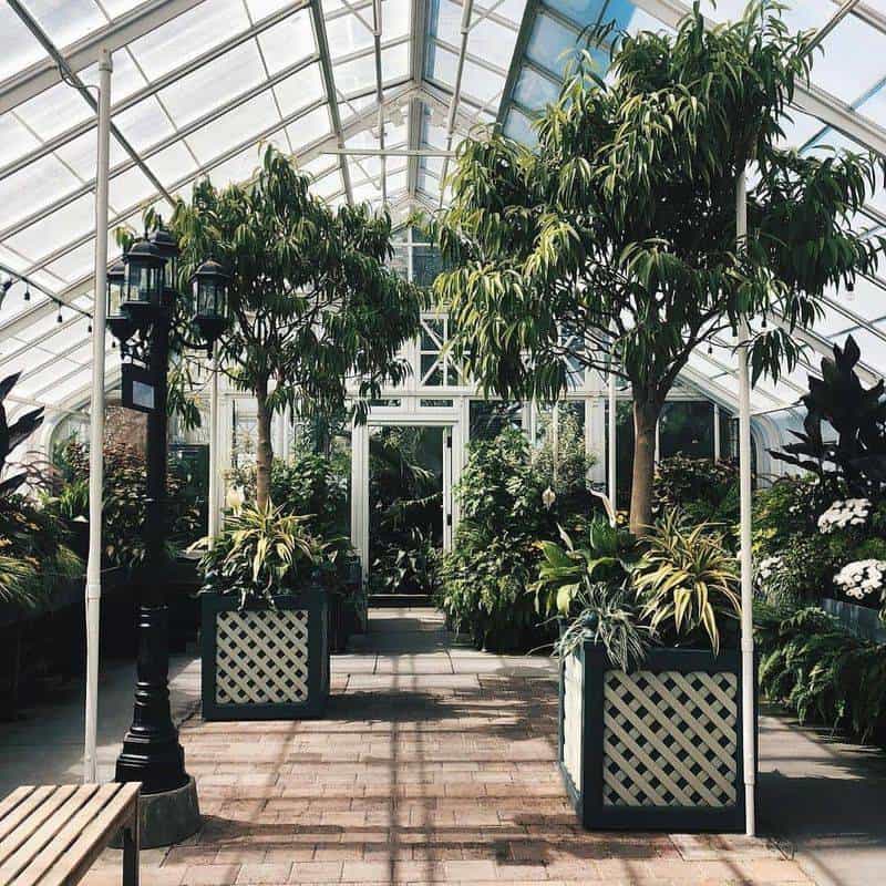 Wander Through the Volunteer Park Conservatory