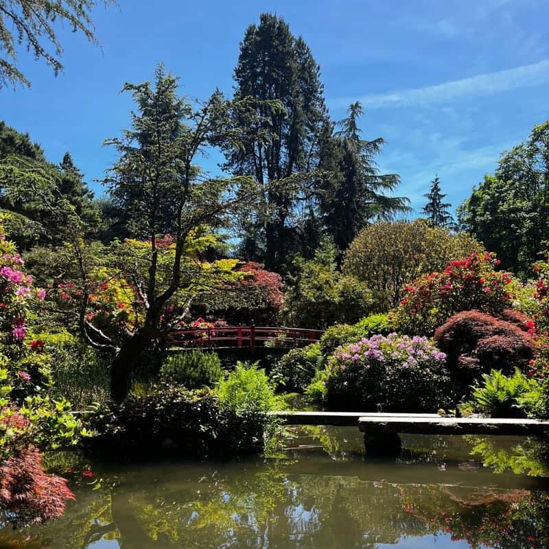 Visit the Kubota Garden