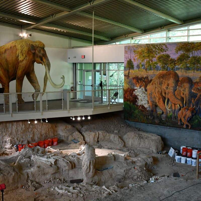 Waco Mammoth National Monument – Waco, TX